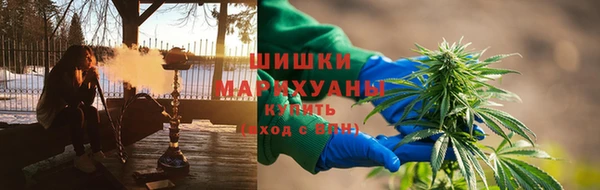 прущие грибы Бугульма