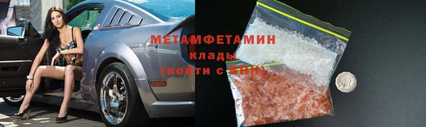 прущие грибы Бугульма