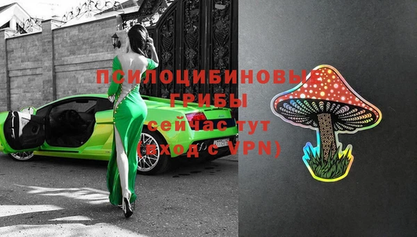 прущие грибы Бугульма