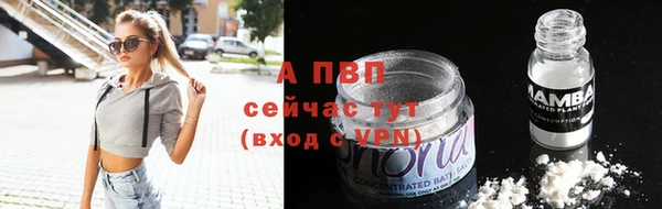 Альфа ПВП Бородино