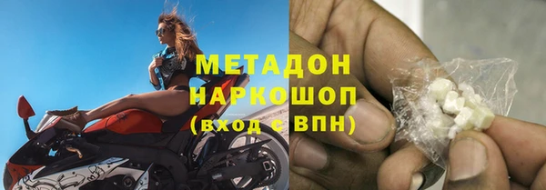 прущие грибы Бугульма
