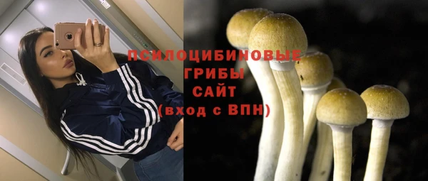 прущие грибы Бугульма