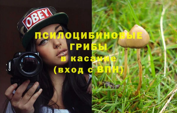 прущие грибы Бугульма