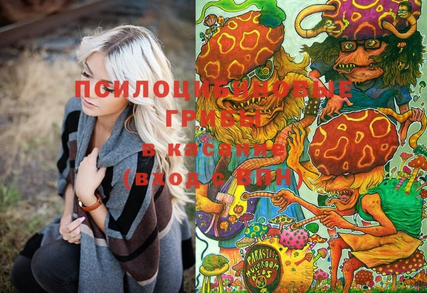 Альфа ПВП Бородино