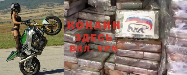 прущие грибы Бугульма