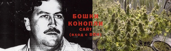 ECSTASY Бронницы
