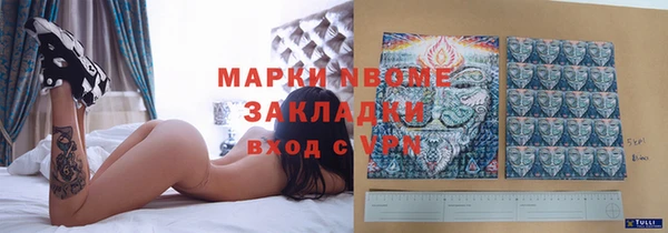 Альфа ПВП Бородино