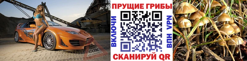 купить наркотик  Новочеркасск  Псилоцибиновые грибы мухоморы 